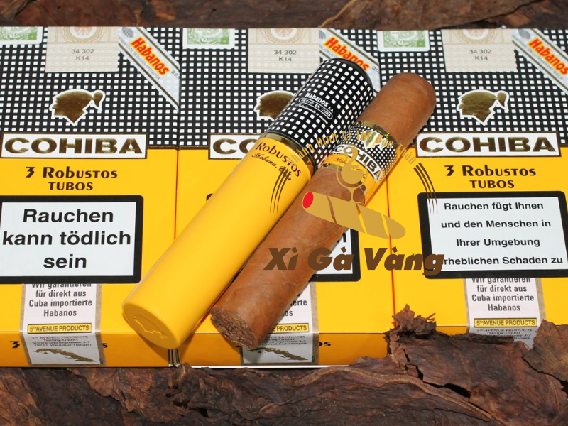 Xì gà Cohiba thơm ngon khiến bạn đắm say